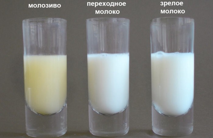 Three stages on the example of milk