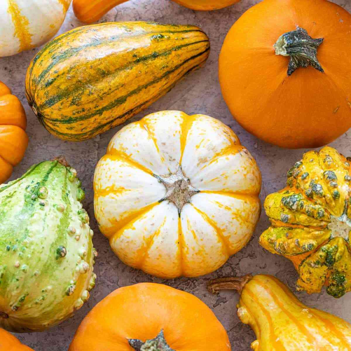 Review of the best varieties of pumpkin