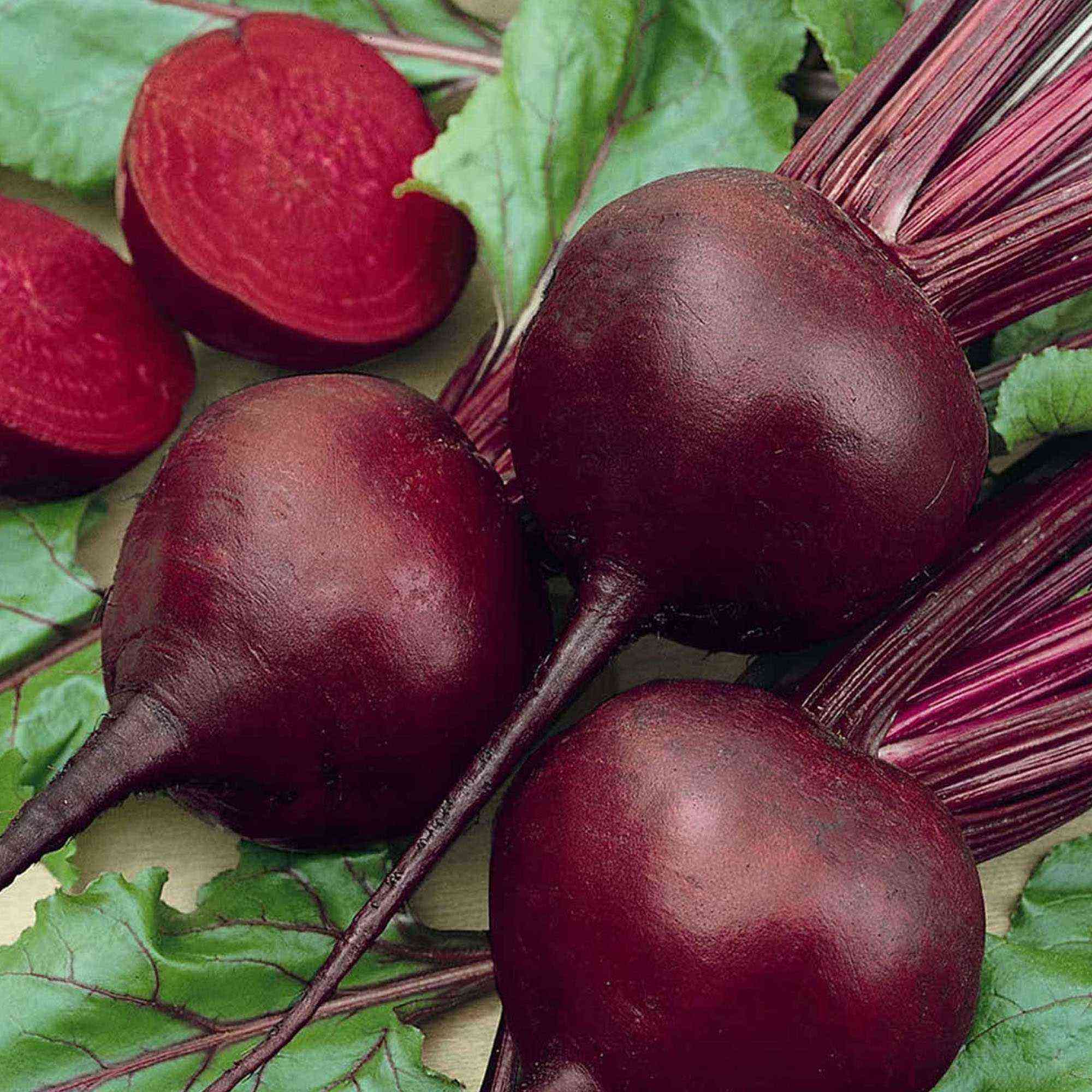The best beet varieties for cultivation and storage in Siberia