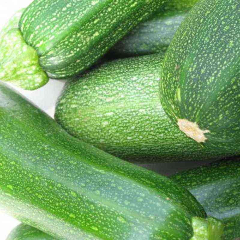 Zucchini Zucchini Zukesha – an early variety of universal purpose