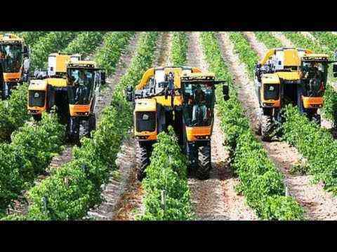 Agricultural machinery. Pellenc Optimum Grape Harvester