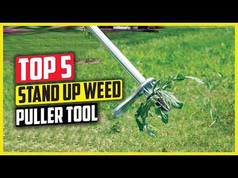 The best weed removal tool