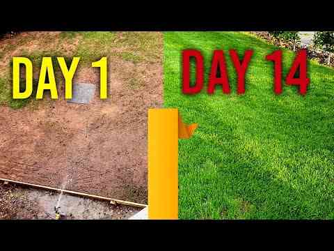 Watering New Grass Seeds (day 1, 7, 14) – 4 week time frame