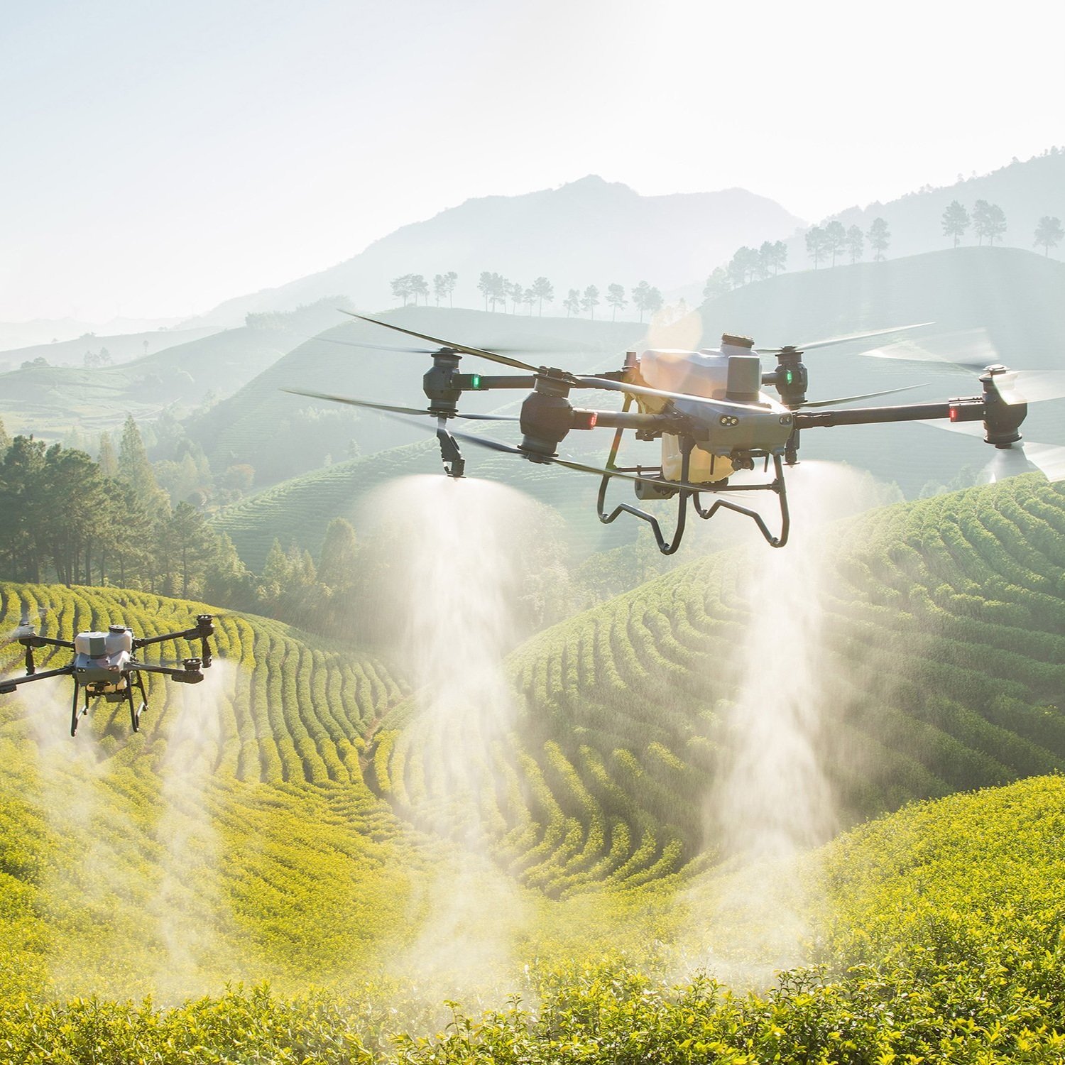 5 reasons to invest in drones for farm management