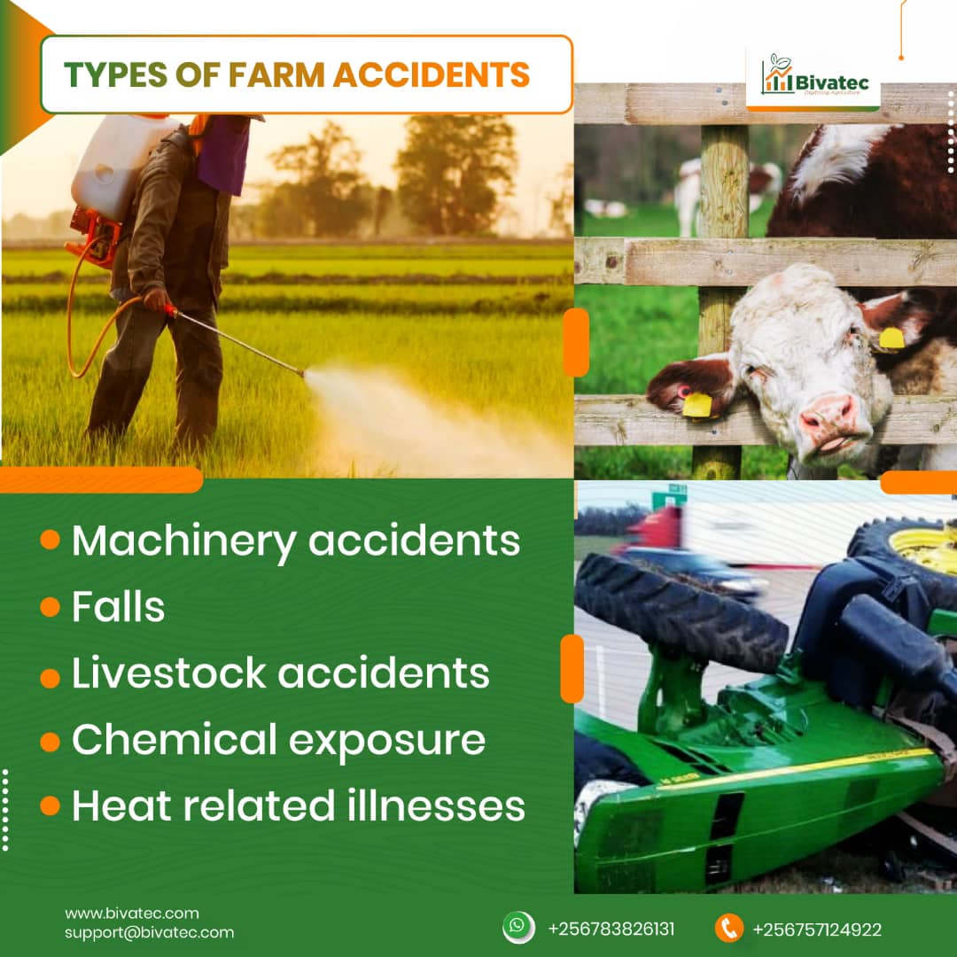 Correct storage of fertilizers and pesticides can prevent accidents