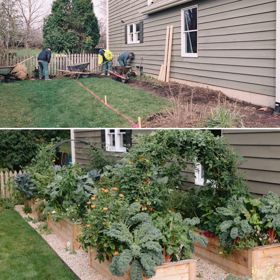 Find out how to make a vegetable garden at home