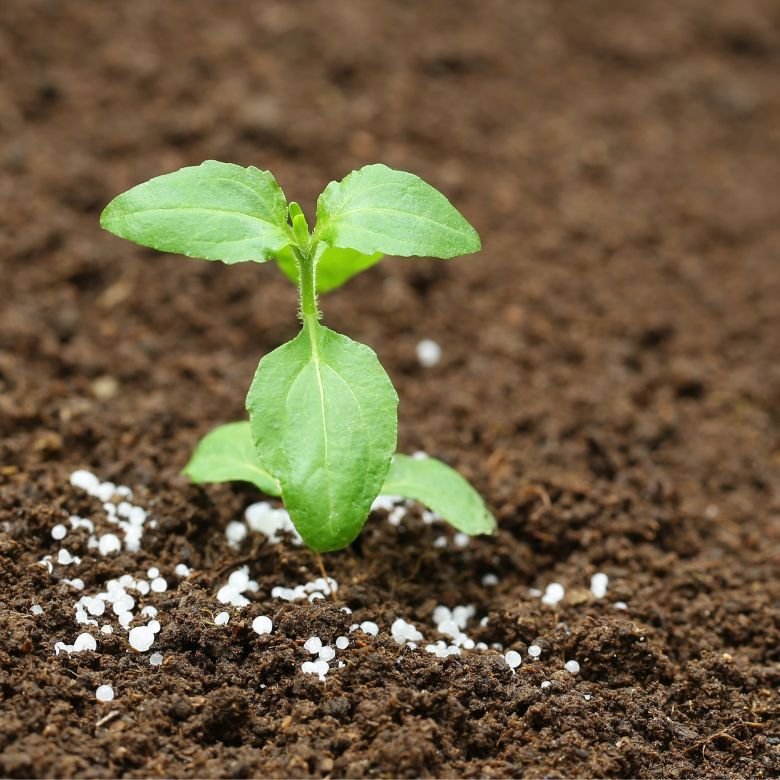 Soil liming: know all about it!