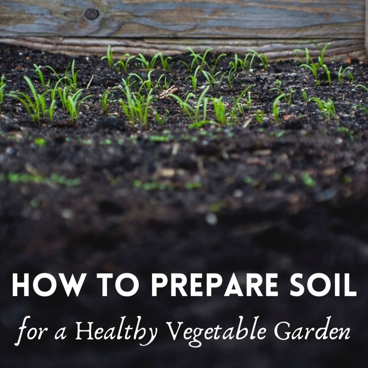 Soil preparation: Techniques for efficient planting.