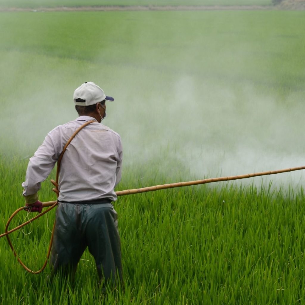 Understand the consequences of inappropriate use of insecticides