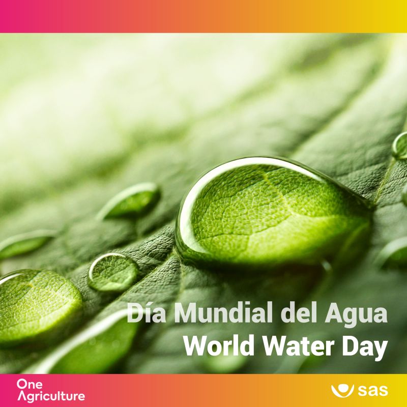 WORLD WATER DAY – Innovative Agricultural System has water as a central element